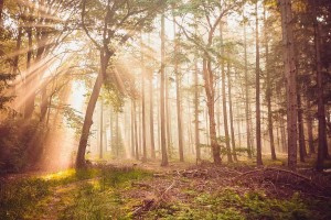 朱婷在意甲联赛单场斩获三十八分